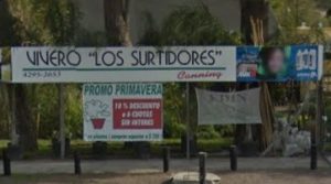 Los Surtidores